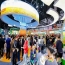 你以为申请=能去？新锐零食品牌2026秋糖真实流程远比你想象残酷